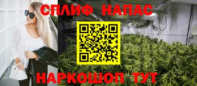 гидра Новозыбков