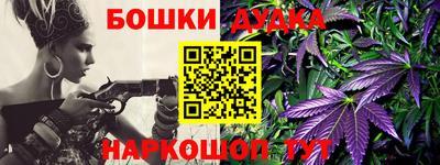 гидра Новозыбков