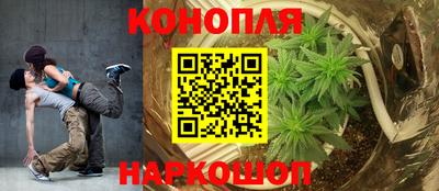гидра Новозыбков