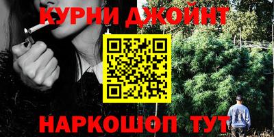 прущие крисы Новокубанск