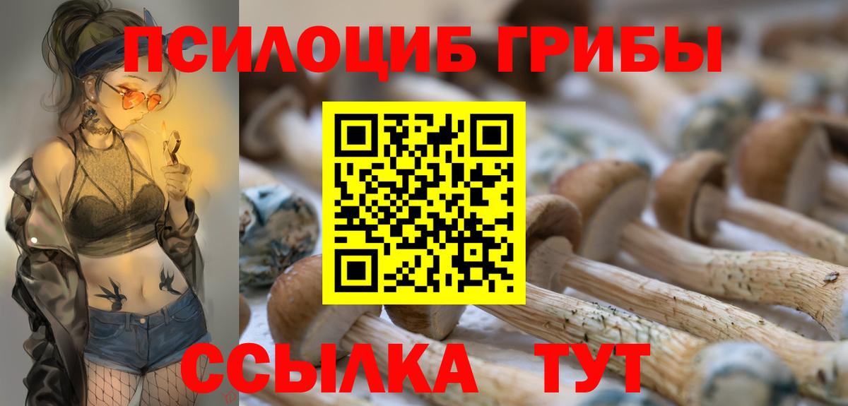 Псилоцибиновые грибы Cubensis Тара