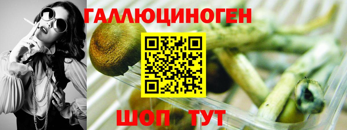 Галлюциногенные грибы Cubensis  Вход с VPN  Тара 